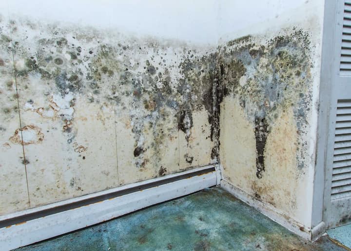 Water Extraction and Drying 1 Water Damager Odor Control scaled